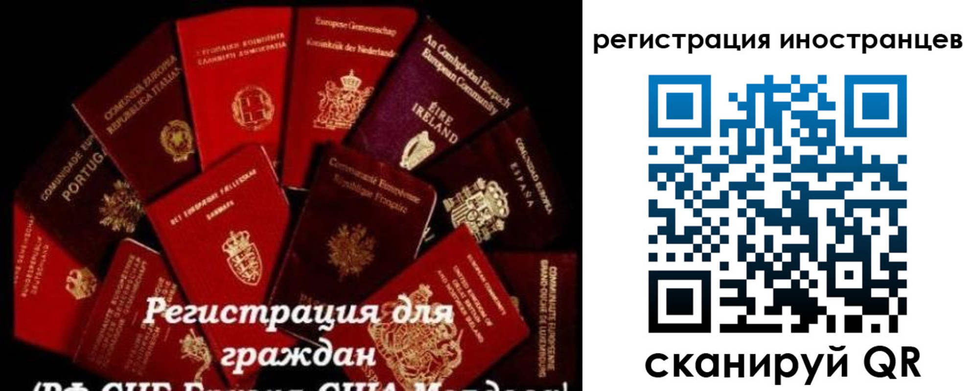 прописка иностранных граждан в Новоалександровске